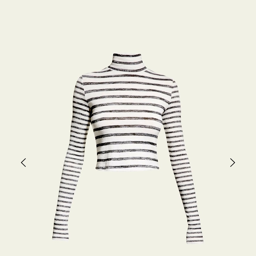 Rag & Bone Grey Stripe Turtleneck Knit Nwt